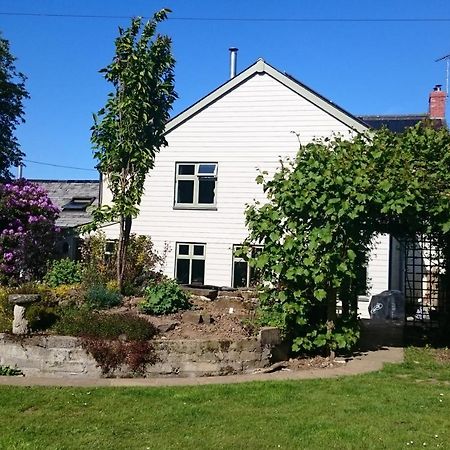 Claw House Bed & Breakfast Holsworthy Exterior foto