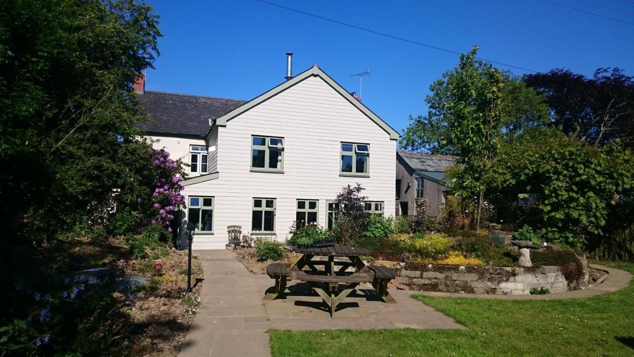 Claw House Bed & Breakfast Holsworthy Exterior foto